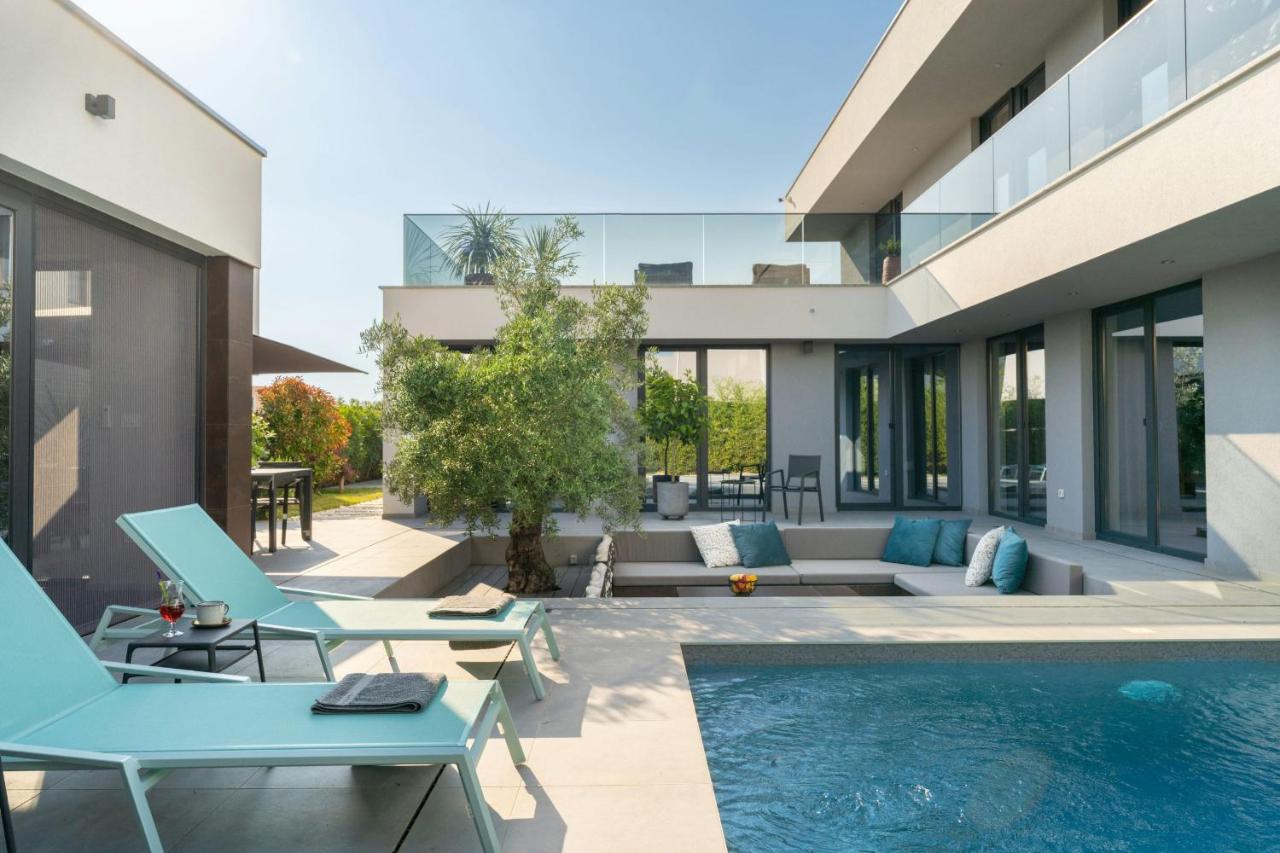 Villa Marli Zadarvillas Zaton  Ngoại thất bức ảnh